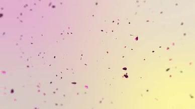 叶子花瓣汇聚成球现爆炸飞行LOGO动画片头视频的预览图